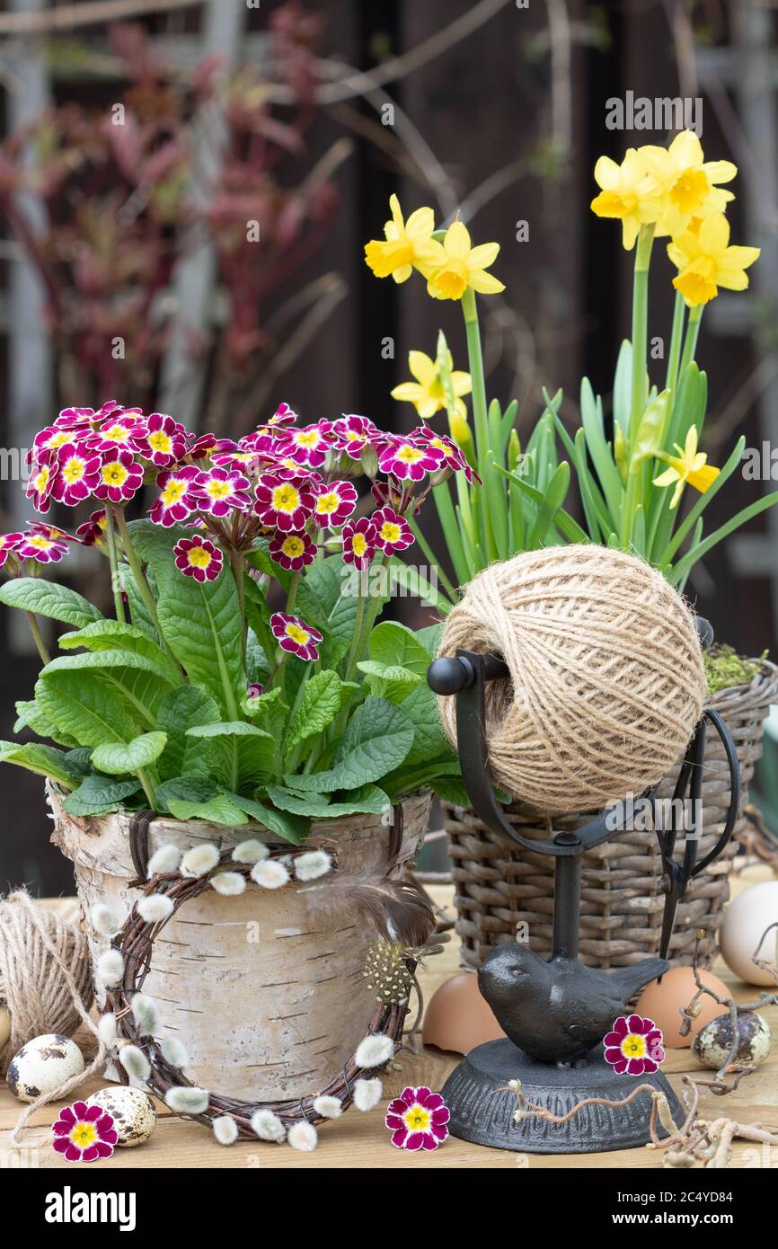decorazioni rustiche in giardino con fiori di primavera e