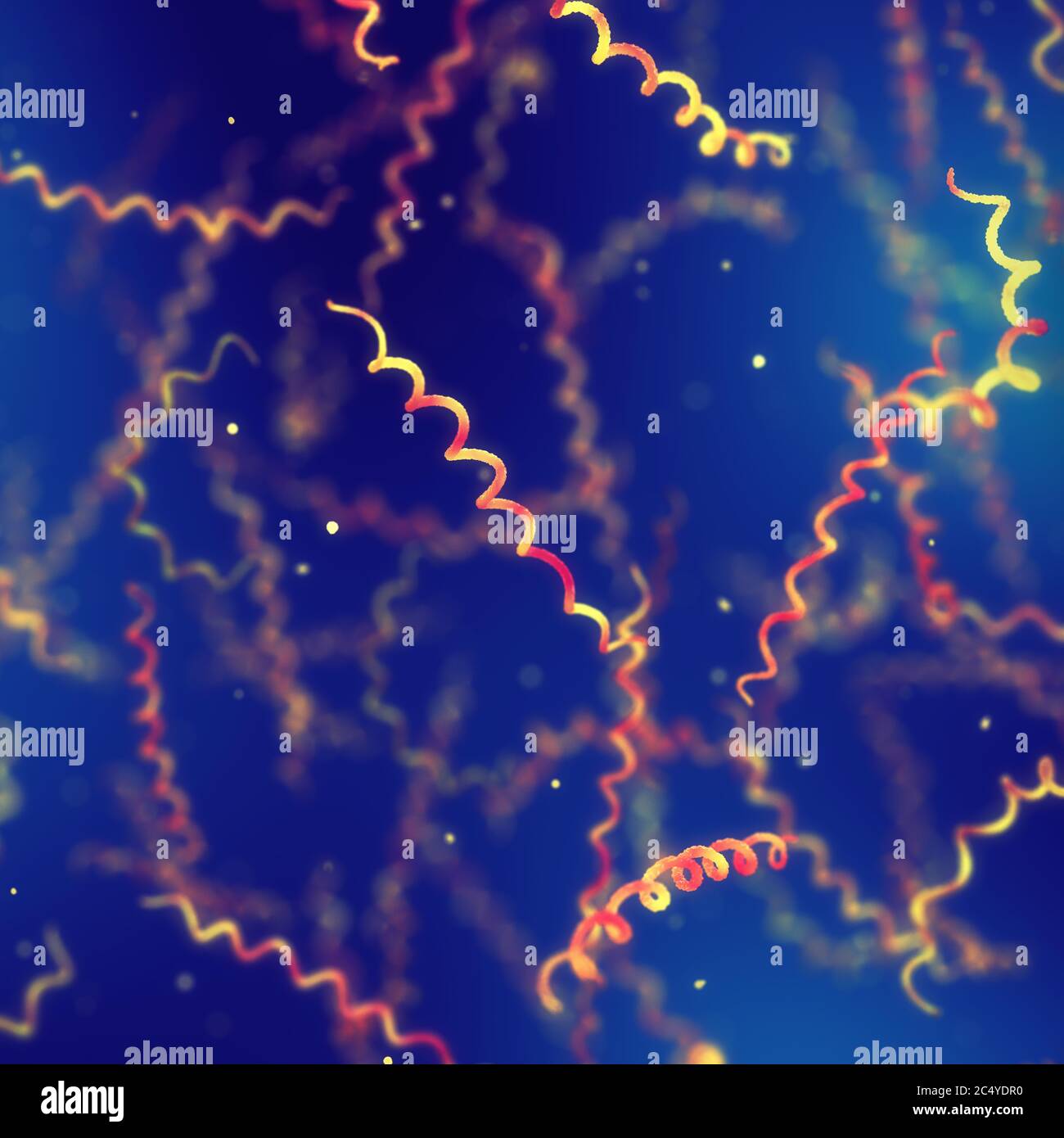 L'infezione batterica ricorrente di Borrelia è la causa della malattia recidivante della febbre, epidemia di batteri spirochete Foto Stock