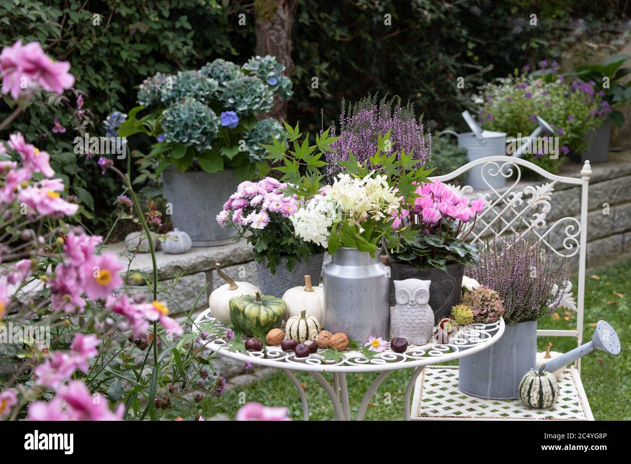 giardino con fiori d'autunno, zucca e gufo decorativo Foto Stock