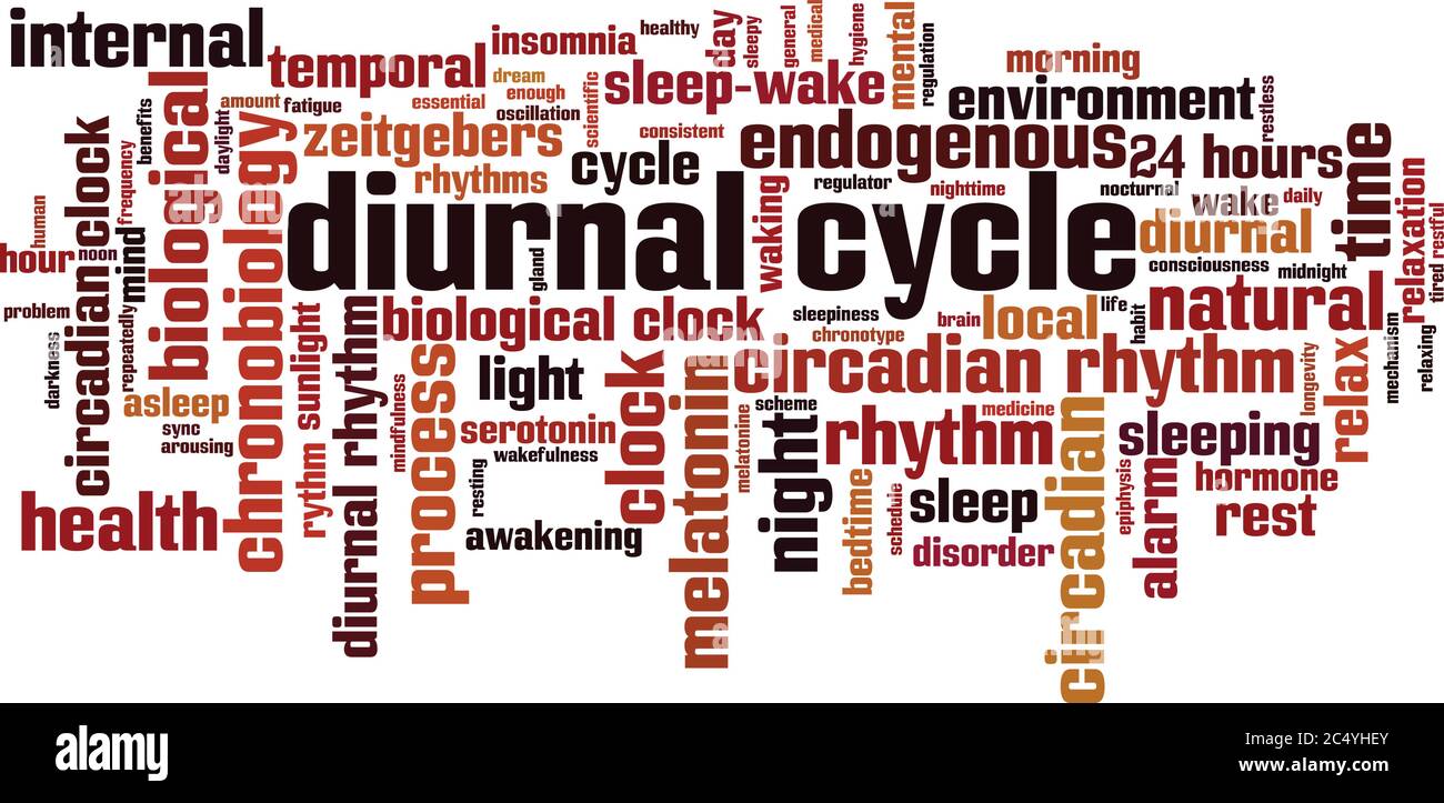 Concetto di nube di parola del ciclo diurno. Collage fatto di parole sul ciclo diurno. Illustrazione vettoriale Illustrazione Vettoriale
