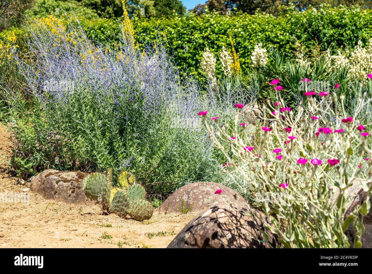 Il Grugapark, Essen, giardino botanico, parco per il tempo libero e locali ricreazione, NRW, Germania Foto Stock