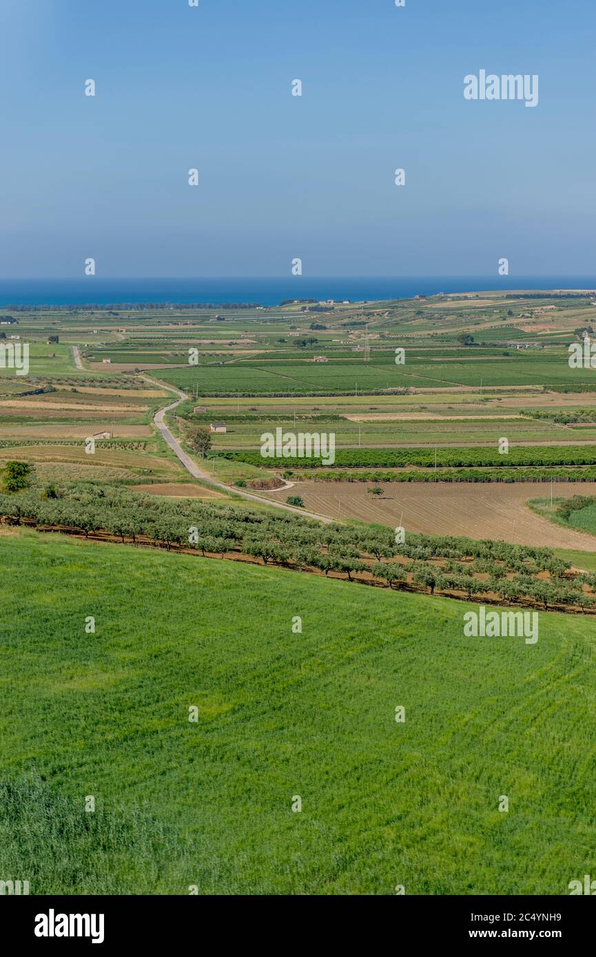 Vista di un paesaggio agricolo vicino alla città di Agrigento sull'isola di Sicilia in Italia. Foto Stock