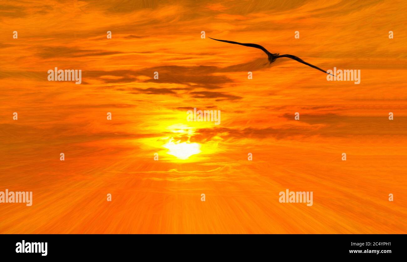 Un singolo uccello sta volando verso il Sole mentre i raggi di luce emanano dal suo Centro Foto Stock