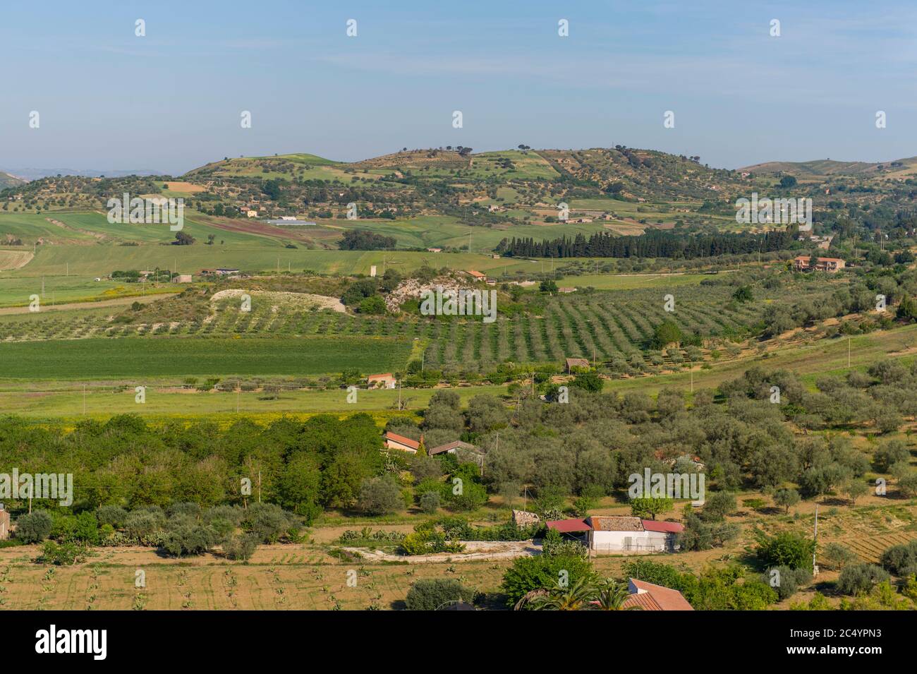 Vista di un paesaggio agricolo con ulivi vicino alla città vecchia di Piazza Armerina sull'isola della Sicilia in Italia. Foto Stock
