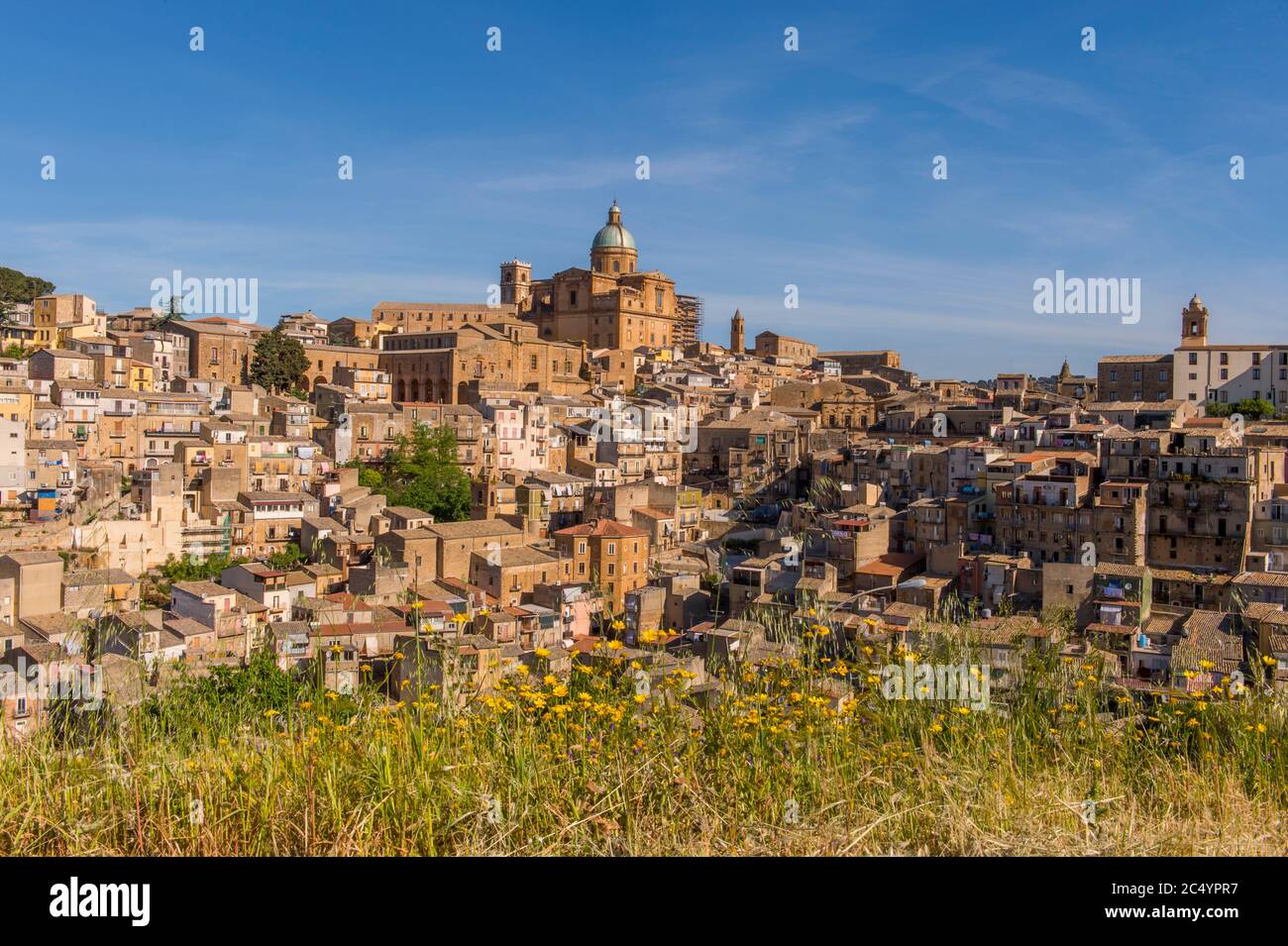 Vista della città vecchia di Piazza Armerina sull'isola di Sicilia in Italia con fiori gialli in primo piano. Foto Stock