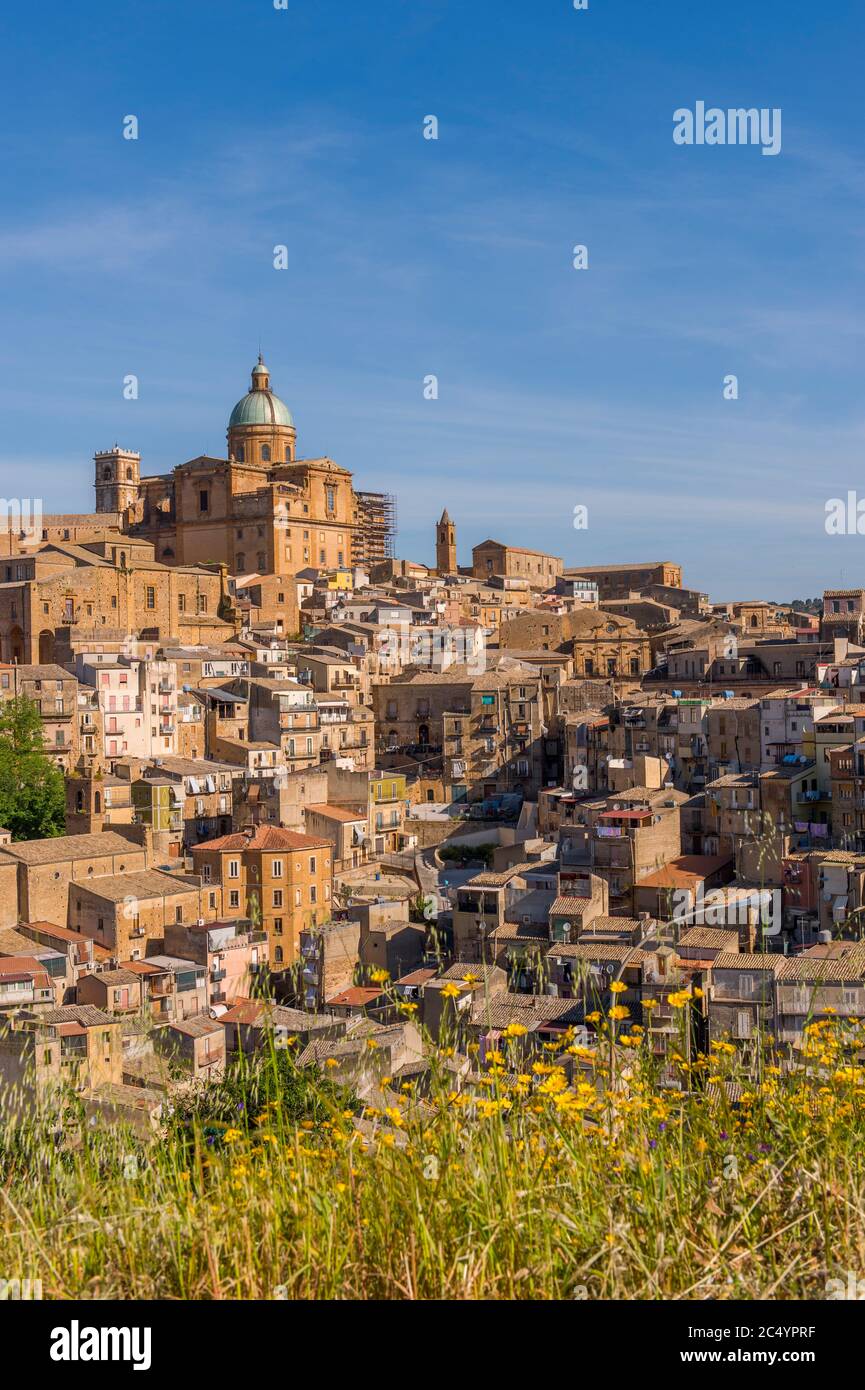 Vista della città vecchia di Piazza Armerina sull'isola di Sicilia in Italia con fiori gialli in primo piano. Foto Stock