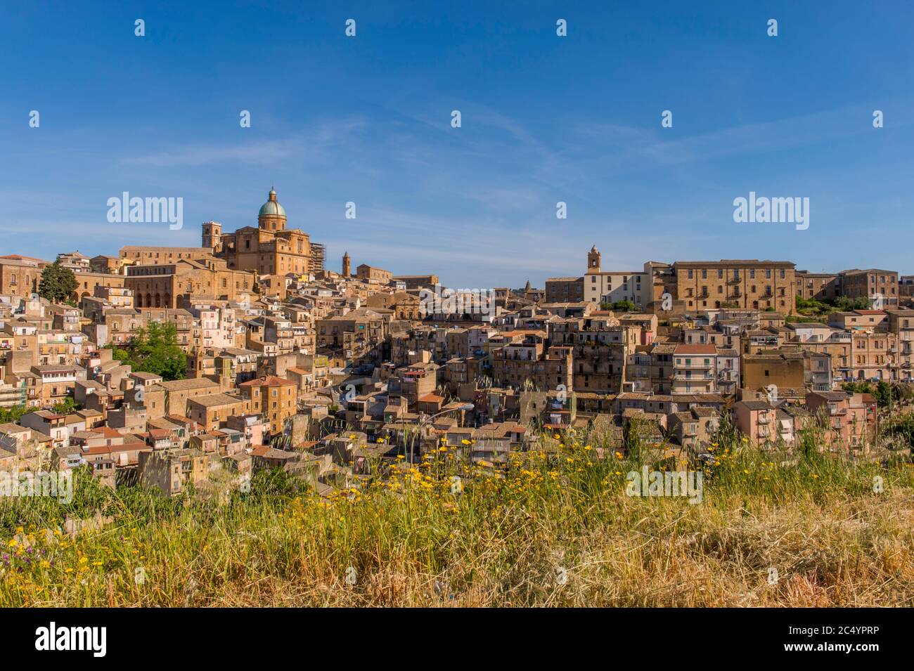 Vista della città vecchia di Piazza Armerina sull'isola di Sicilia in Italia con fiori gialli in primo piano. Foto Stock