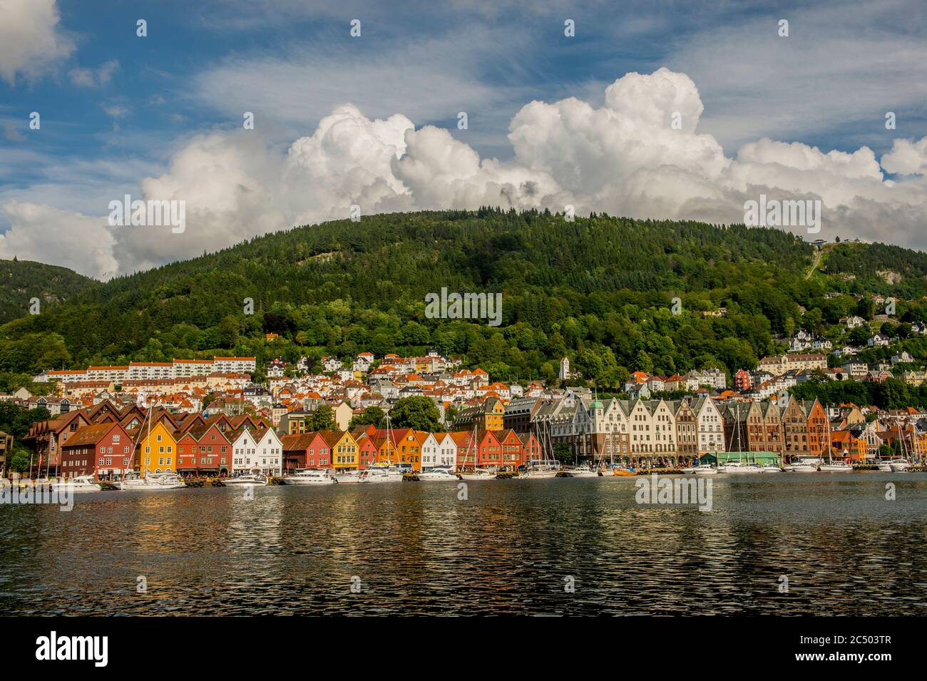 Vista degli antichi edifici commerciali anseatici di Bryggen, un sito patrimonio dell'umanità, dall'altra parte del porto di Bergen, Norvegia. Foto Stock