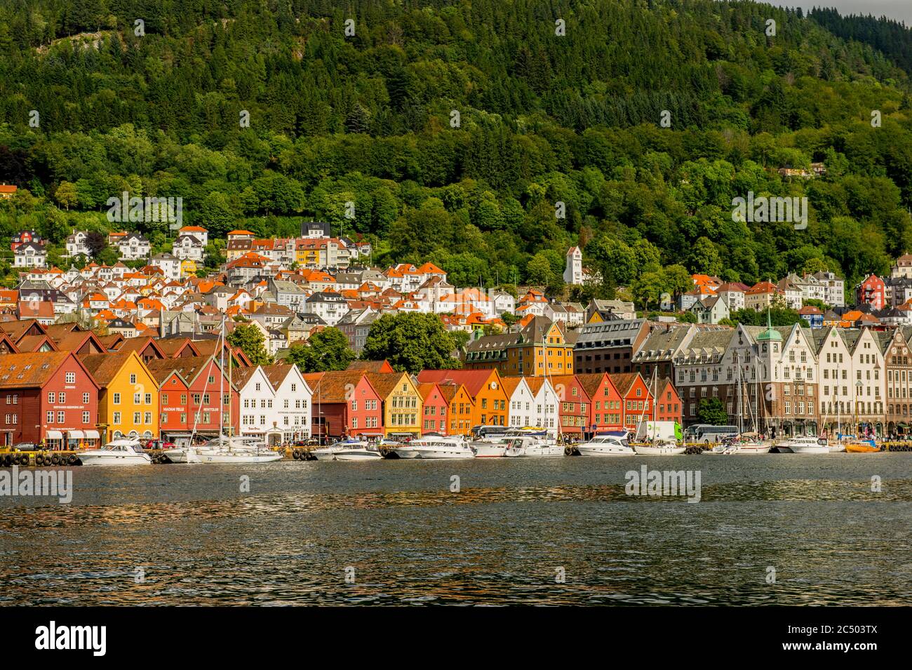 Vista degli antichi edifici commerciali anseatici di Bryggen, un sito patrimonio dell'umanità, dall'altra parte del porto di Bergen, Norvegia. Foto Stock
