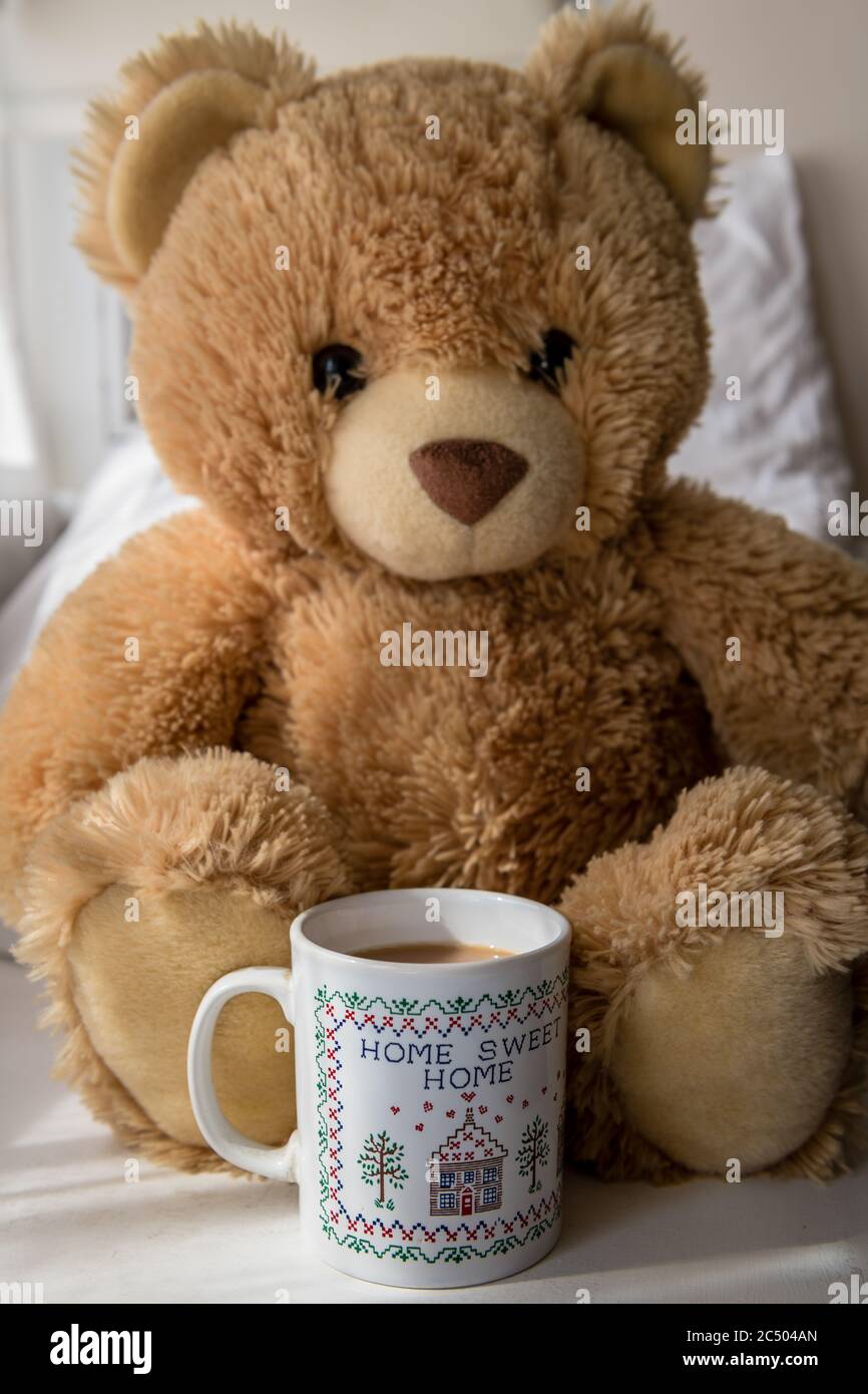 Un orsacchiotto con un fango di tè. Foto Stock