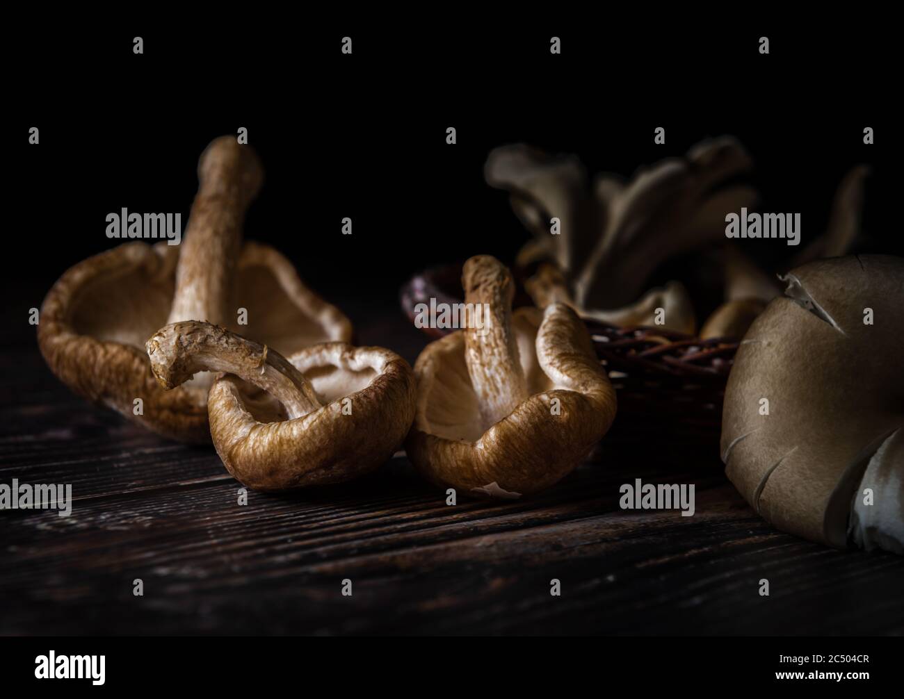 Una selezione di funghi selvatici su un piano di lavoro con sfondo scuro. Foto Stock
