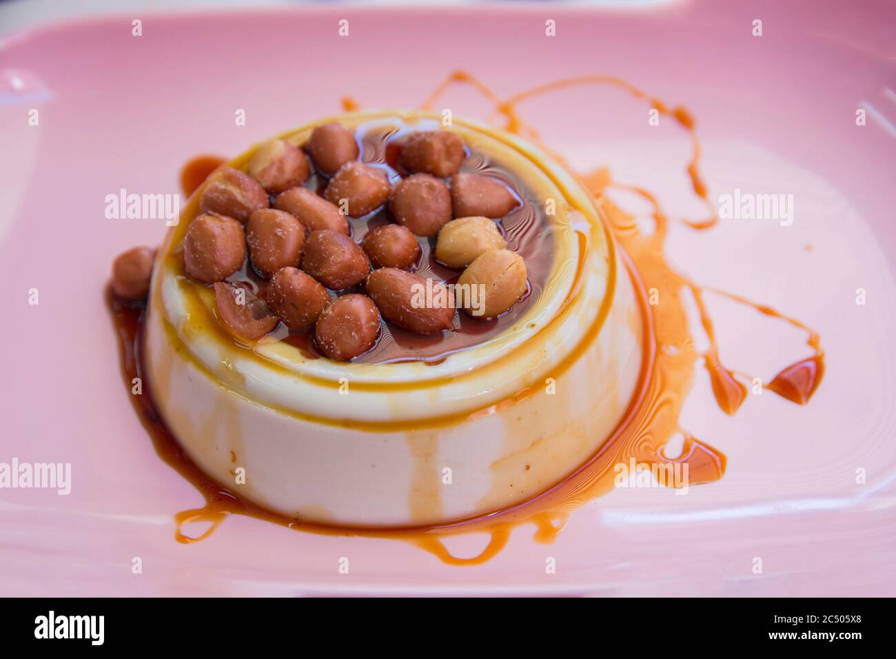 Dessert tailandese 'Pandan'buding, fatto della pianta tropicale Pandanus (Pandanus amaryllimolius), servito con arachidi salate e sciroppo dolce su un piatto rosa Foto Stock
