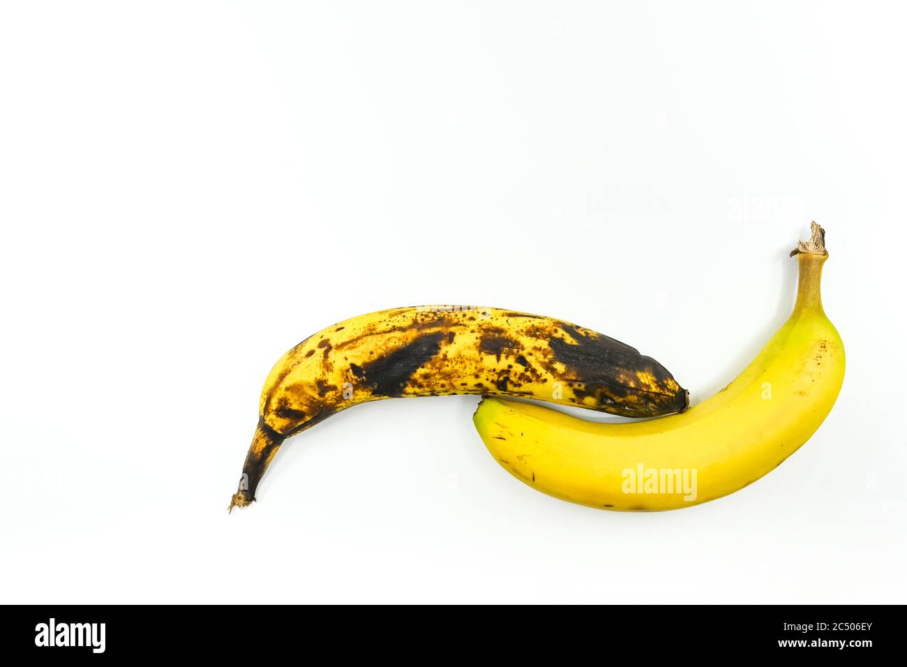 Due banane affiancate su sfondo bianco. Uno è maturo e uno è marcio. Nessuna gente. Spazio per la copia sopra. Foto Stock