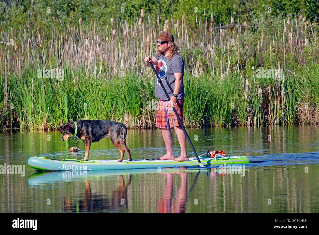 Un uomo con la bearded che indossa pantaloncini galleggia sul fiume Deschutes a Bend, Oregon, su una tavola da paddleboard in piedi, con il suo cane che cavalcava sulla parte anteriore. Foto Stock