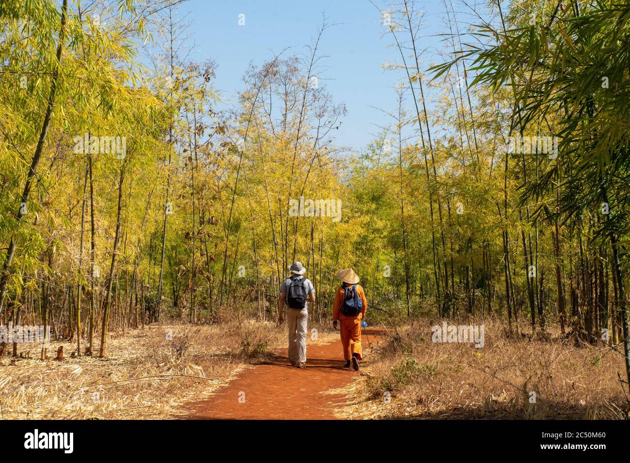 Trekking passando attraverso paesaggi mozzafiato nella campagna di Myanmar Foto Stock