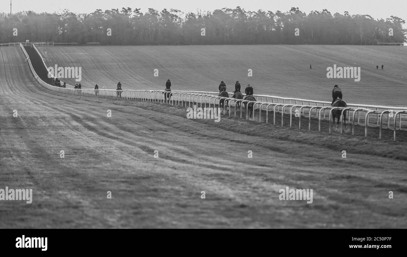 Newmarket Town in Inghilterra è la capitale mondiale del cavallo da corsa per l'allevamento e l'allenamento che risale a 350 anni fa. Foto Stock