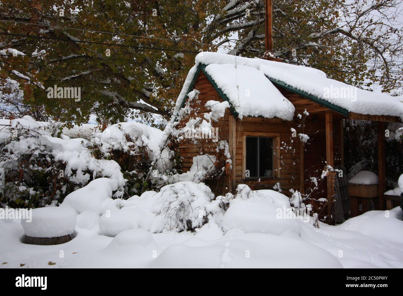 Grande tempesta di neve leggera e potente da 12 pollici a Littleton, Colorado, appena a sud di Denver, con neve bianca profonda nel cortile posteriore e nel giardino. Foto Stock