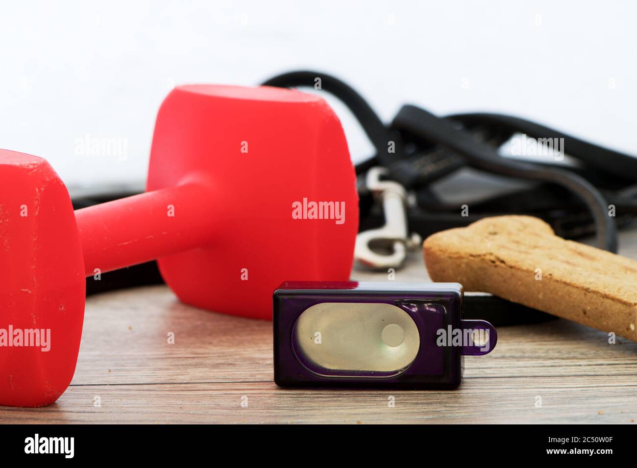 Concetto di addestramento del cane con clicker, le treats del cane e guinzaglio e clicker. Vista dall'alto su legno. Foto Stock