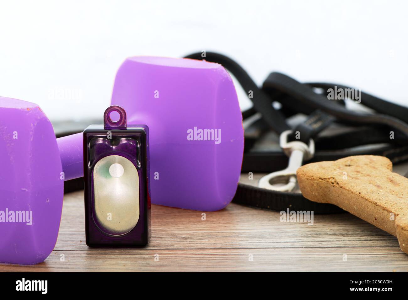 Concetto di addestramento del cane con clicker, le treats del cane e guinzaglio e clicker. Vista dall'alto su legno. Foto Stock