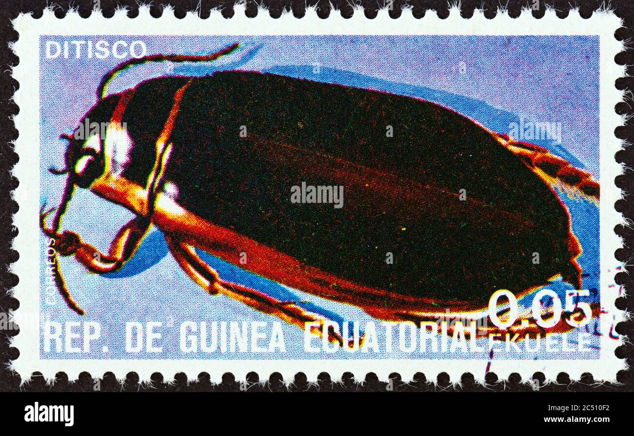 GUINEA EQUATORIALE - CIRCA 1978: Un francobollo stampato in Guinea Equatoriale dal numero 'insetti' mostra Dytisco, circa 1978. Foto Stock