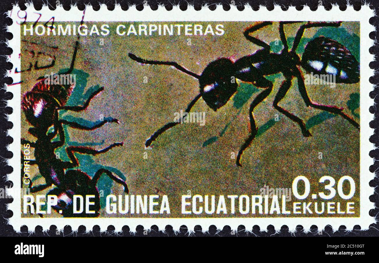 GUINEA QUATORIAL - CIRCA 1978: Un francobollo stampato in Guinea Equatoriale dal numero di insetti mostra Formicidae, circa 1978. Foto Stock