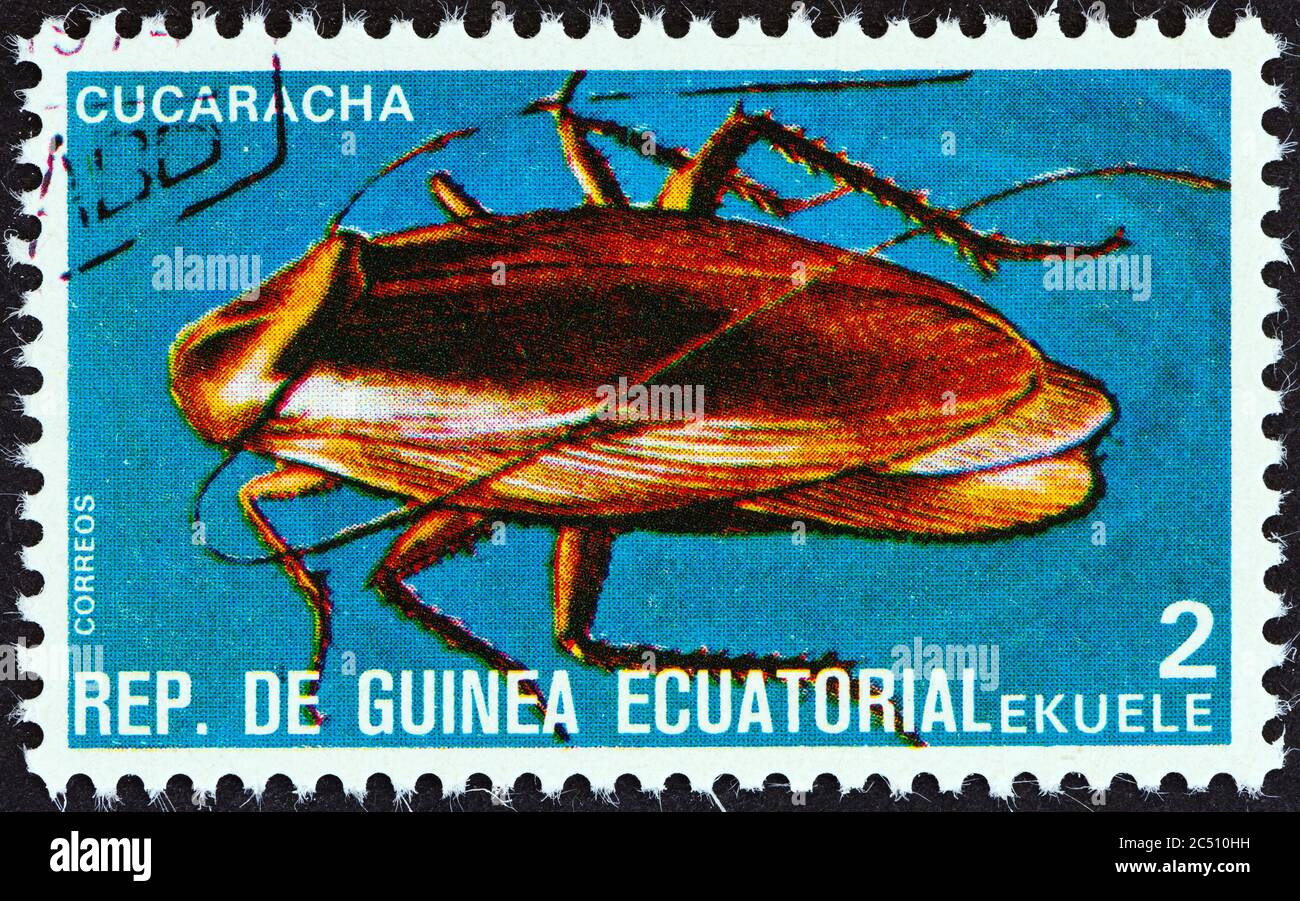 GUINEA EQUATORIALE - CIRCA 1978: Un francobollo stampato in Guinea Equatoriale dal numero 'insetti' mostra Cockroach, circa 1978. Foto Stock