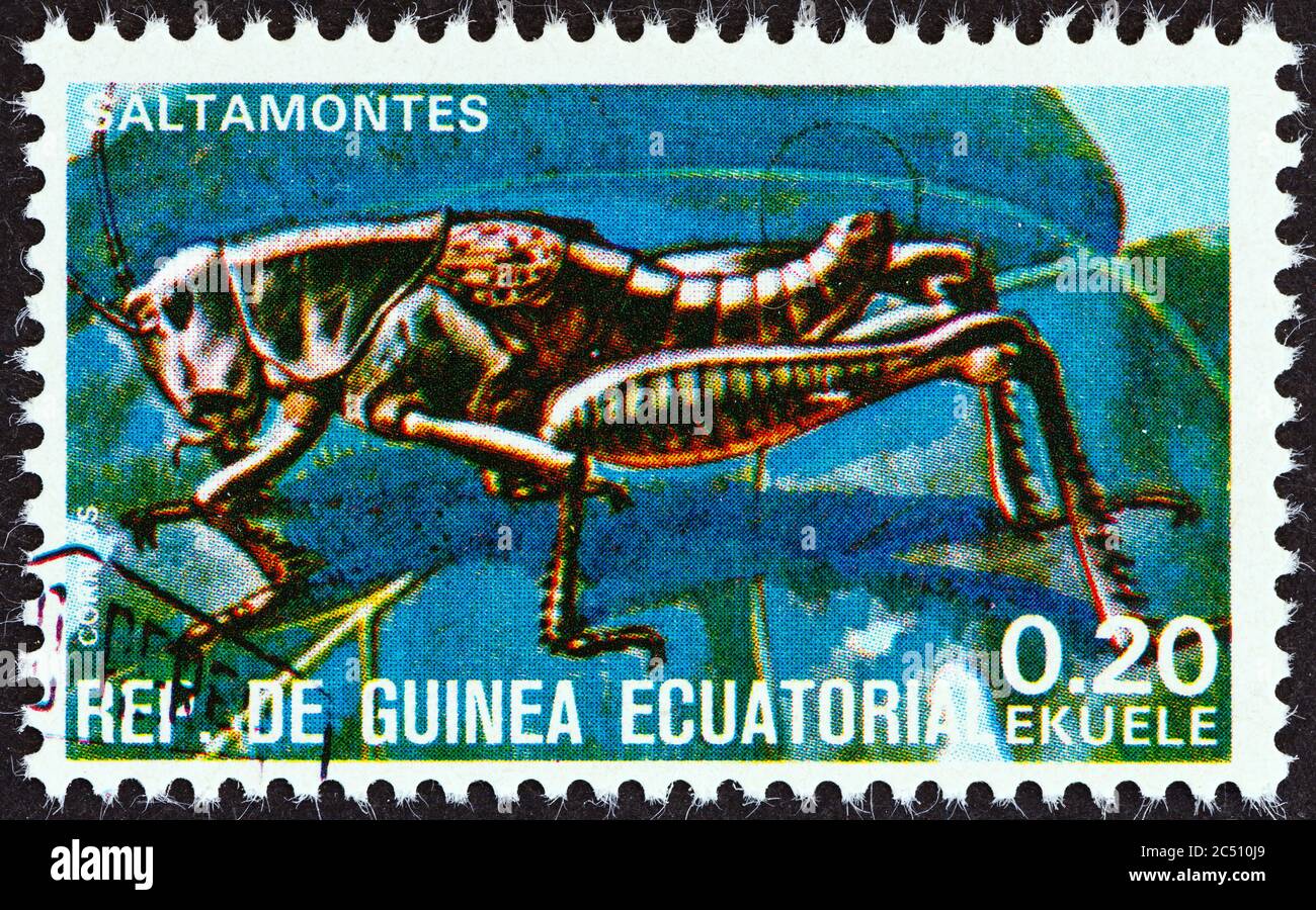 GUINEA EQUATORIALE - CIRCA 1978: Un francobollo stampato in Guinea Equatoriale dal numero 'insetti' mostra Caelifera, circa 1978. Foto Stock