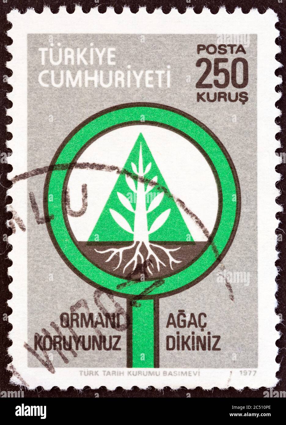 TURCHIA - CIRCA 1977: Un francobollo stampato in Turchia dal numero 'conservazione della foresta' mostra alberi e radici, circa 1977. Foto Stock