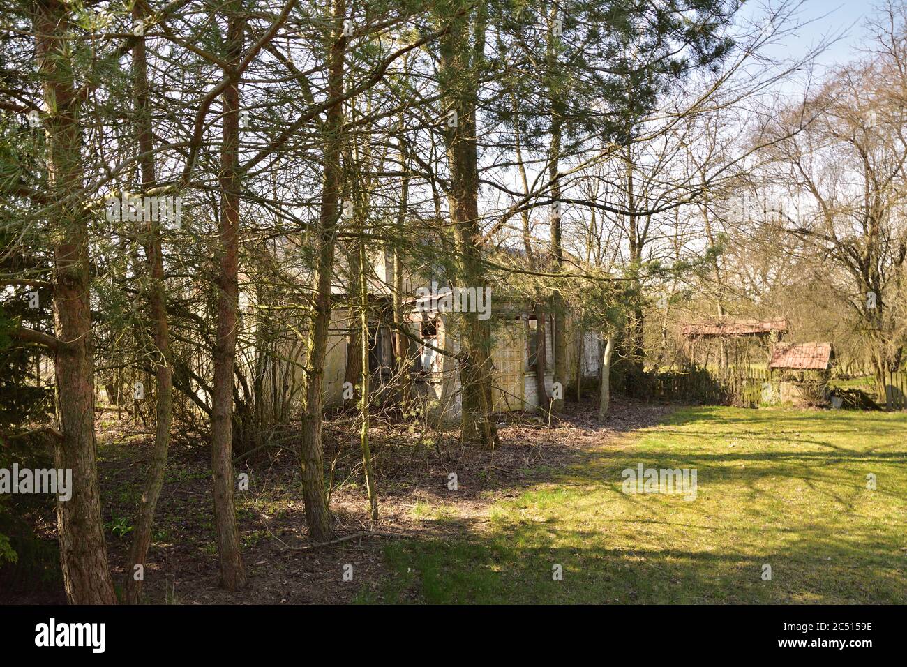 Casa dimenticata all'ombra degli alberi. Giorno di sole. Estate. Foto Stock