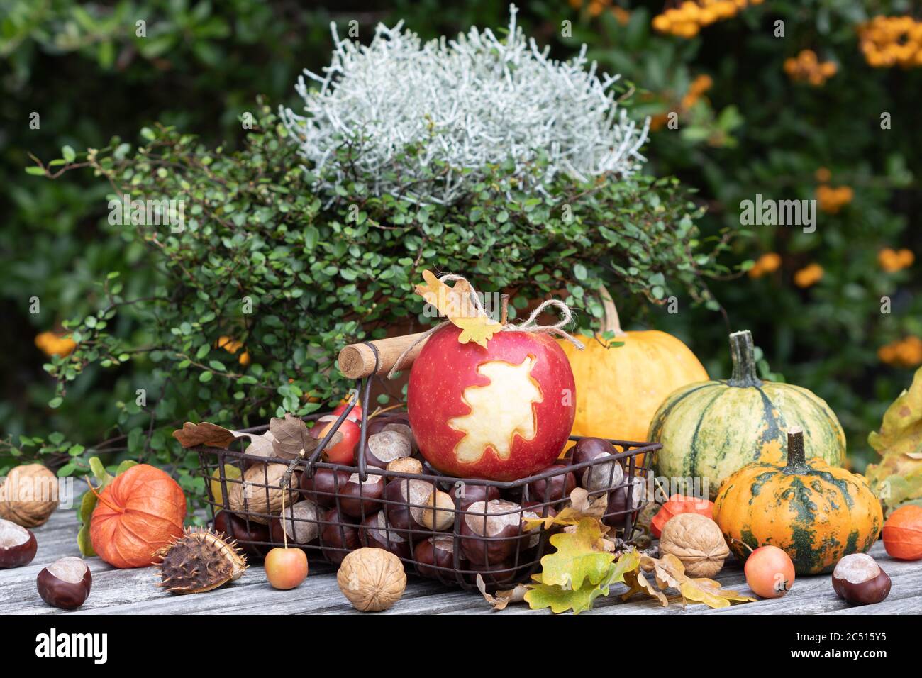 mela con ornamento foglia di quercia, noci e zucche come decorazione autunno Foto Stock