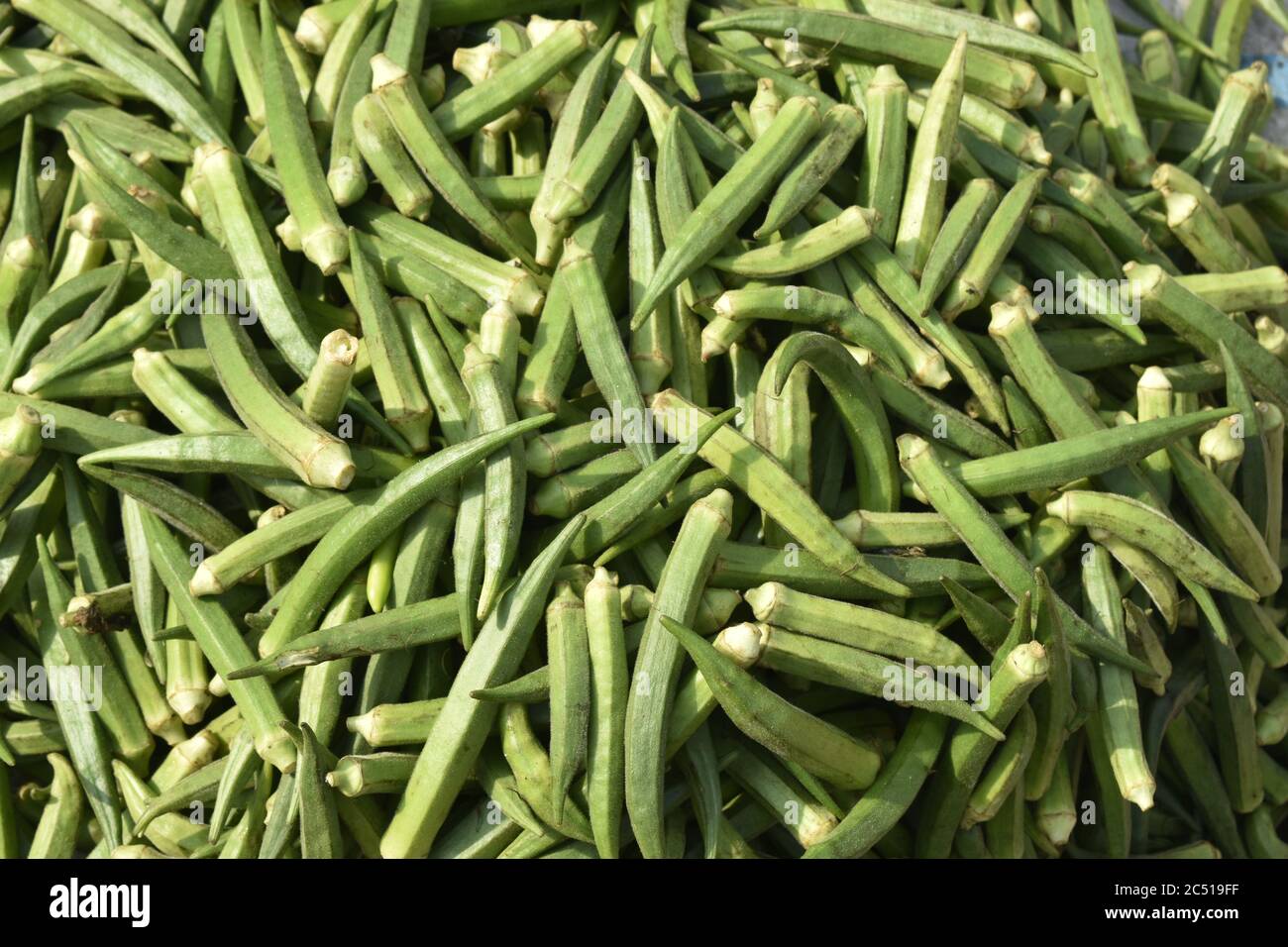 Verdure in vendita in un mrrrket a Jammu, India. Foto Stock