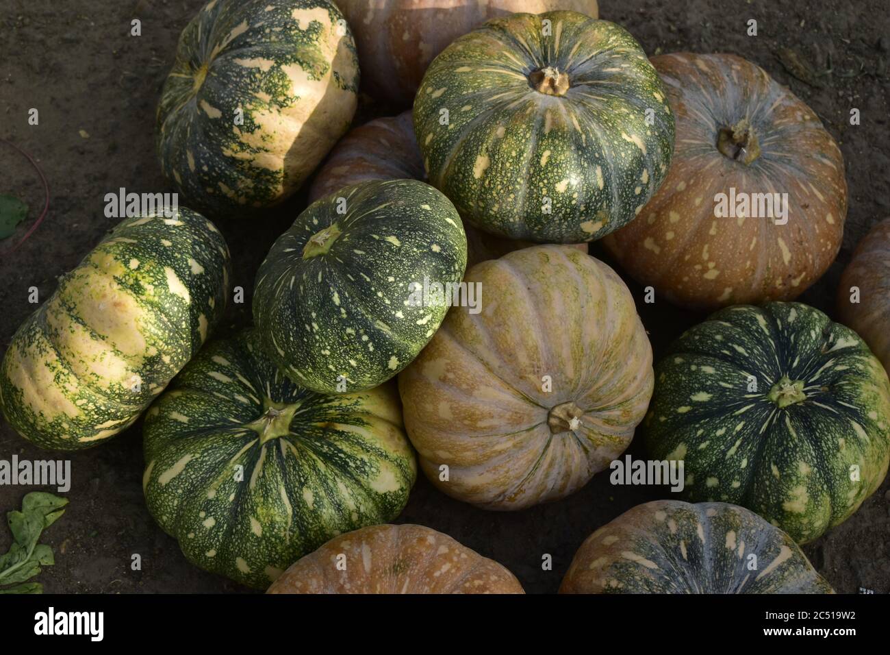 Verdure in vendita in un mrrrket a Jammu, India. Foto Stock