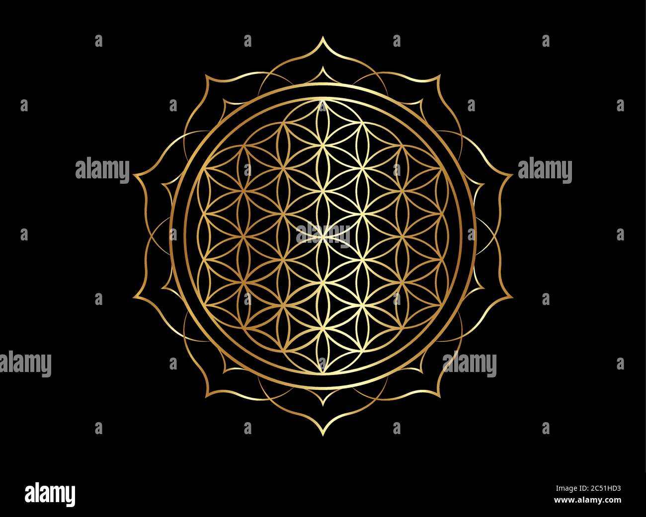 Fiore della vita, Yantra Mandala nel fiore di loto, geometria Sacra. Simbolo  dorato luminoso di armonia ed equilibrio. Talismano d'oro mistico, isolato  Immagine e Vettoriale - Alamy