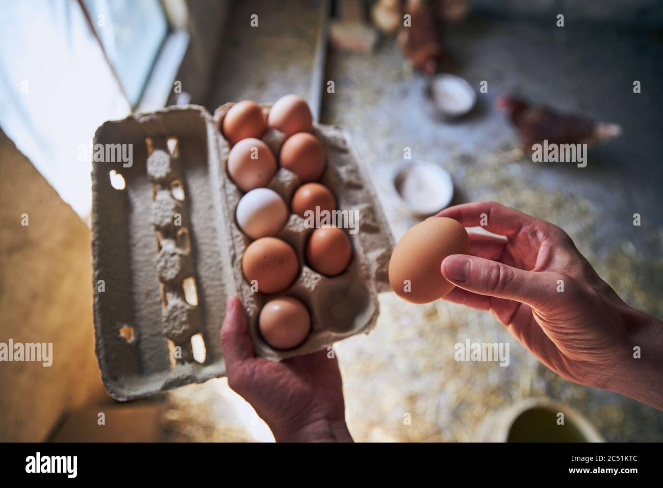Uomo che raccoglie uova per vassoio a piccola fattoria biologica. Foto Stock