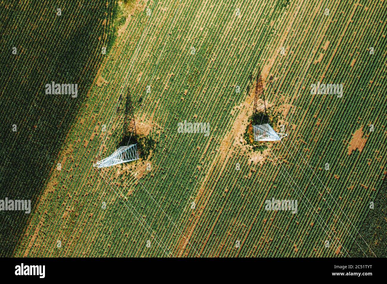 Vista aerea dei piloni elettrici nel campo agricolo che colano l'ombra sui raccolti, vista dall'alto, fotografia di droni Foto Stock