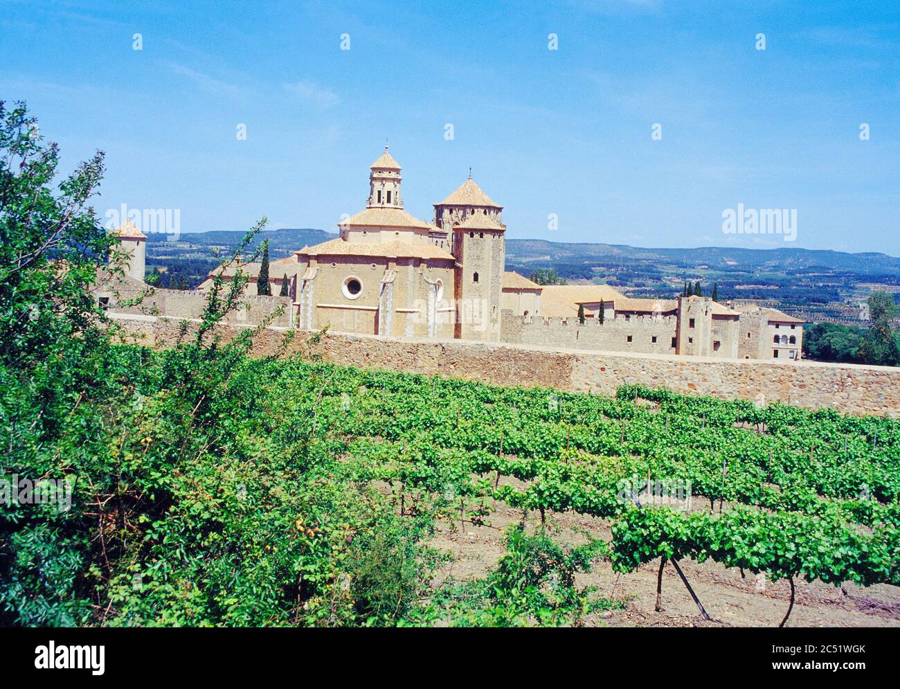 Monastero e vigneti. Poblet, provincia di Tarragona, Catalogna, Spagna. Foto Stock