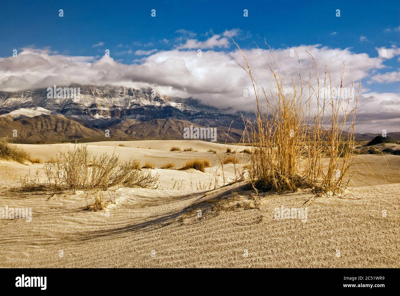 Dune di Salt Basin di fronte alla scarpata occidentale delle montagne Guadalupe innevate, tramonto, deserto di Chihuahuan, Guadalupe Mountains National Park, Texas Foto Stock