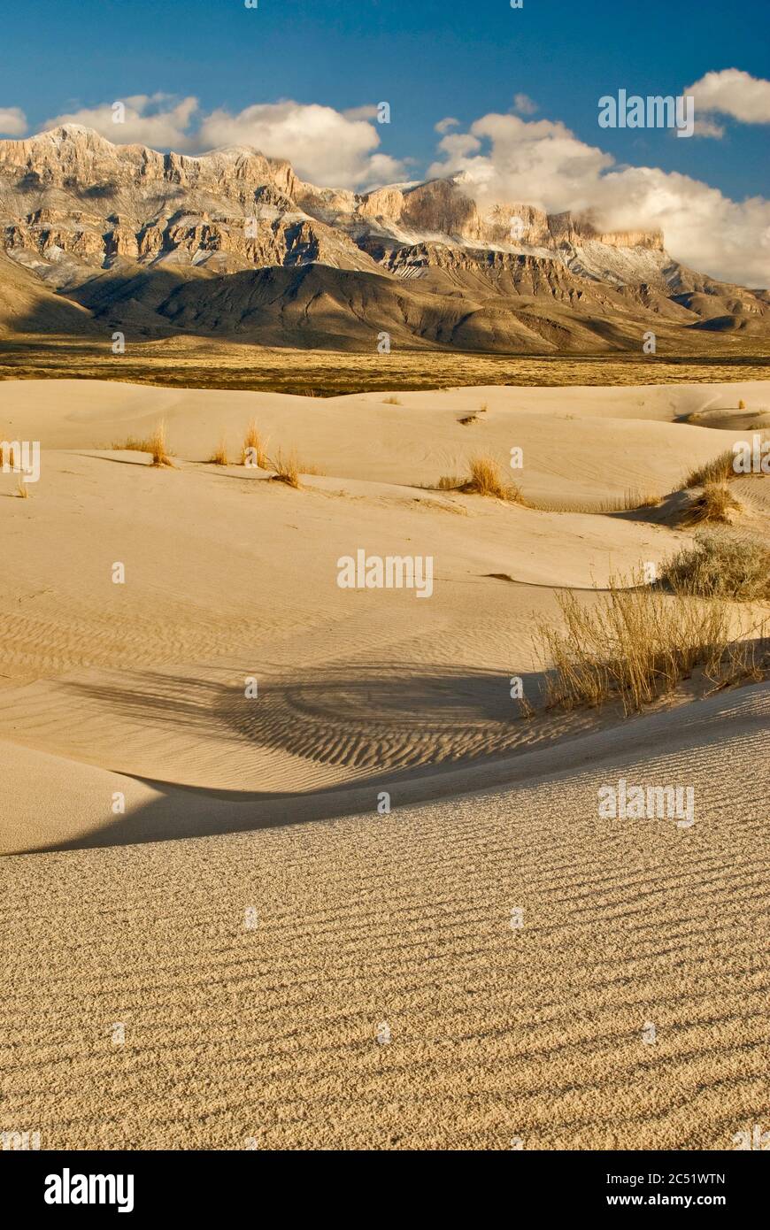 Dune di Salt Basin di fronte alla scarpata occidentale delle montagne Guadalupe innevate al tramonto, deserto di Chihuahuan, Parco Nazionale delle montagne di Guadalupe, Tex Foto Stock