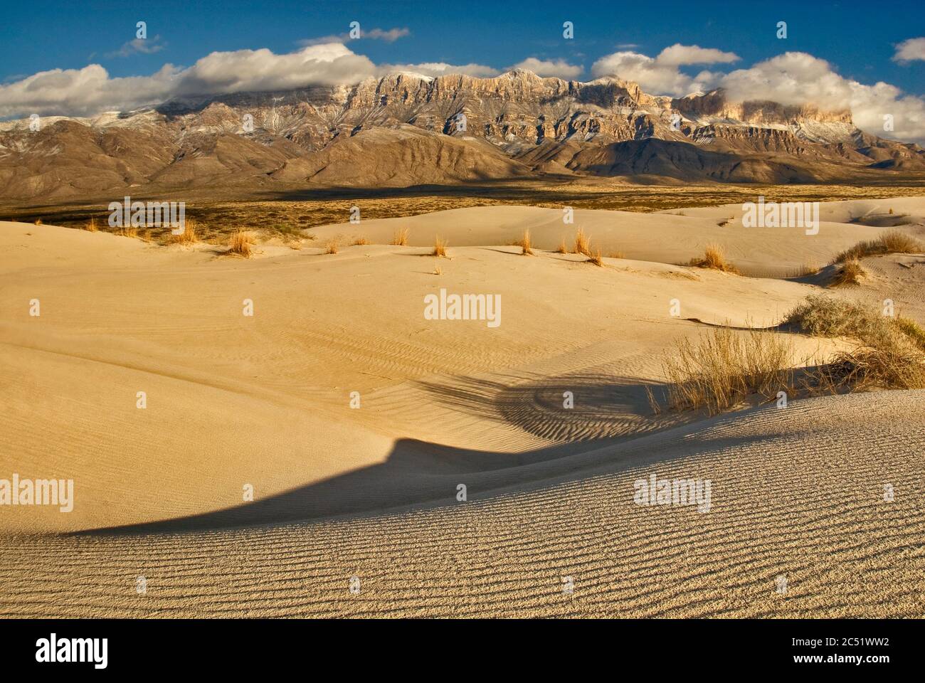 Dune di Salt Basin di fronte alla scarpata occidentale delle montagne Guadalupe innevate al tramonto, deserto di Chihuahuan, Parco Nazionale delle montagne di Guadalupe, Tex Foto Stock
