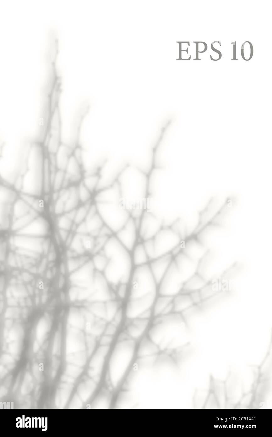 Ombreggiatura naturale trasparente dei rami dell'albero. Sovrapposizione effetto luce. Griglia mesh. Presentazione la vostra scheda di disegno, poster, storie Foto illustrazione realistica Illustrazione Vettoriale