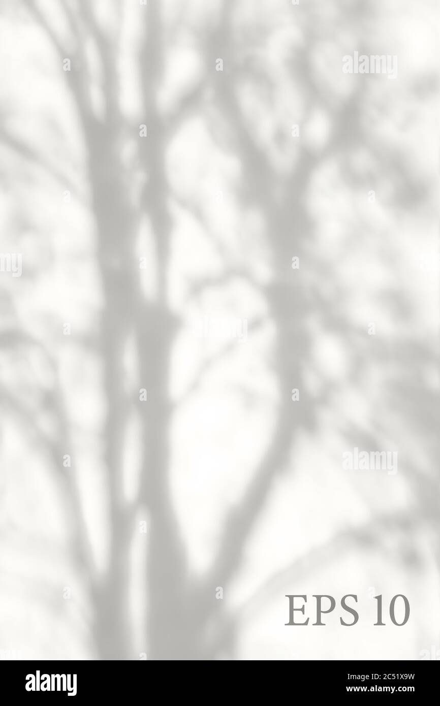 Ombra trasparente naturale dell'albero. Sovrapposizione effetto luce. Griglia mesh. Presentazione la vostra scheda di disegno, poster, storie Foto illustrazione realistica Illustrazione Vettoriale