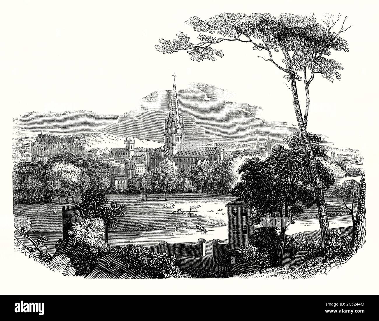 Una vecchia incisione di Norwich, Norfolk, Inghilterra, Regno Unito durante il Medioevo. La grande cattedrale della città è al centro con il castello di Norwich sulla sinistra. In primo piano è il fiume Wensum con bestiame che si nutrire nei prati d'acqua. Foto Stock