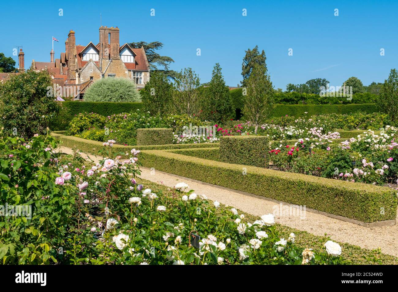 Il giardino di rose e la casa a Loseley Park. Surrey, Regno Unito nel mese di giugno Foto Stock