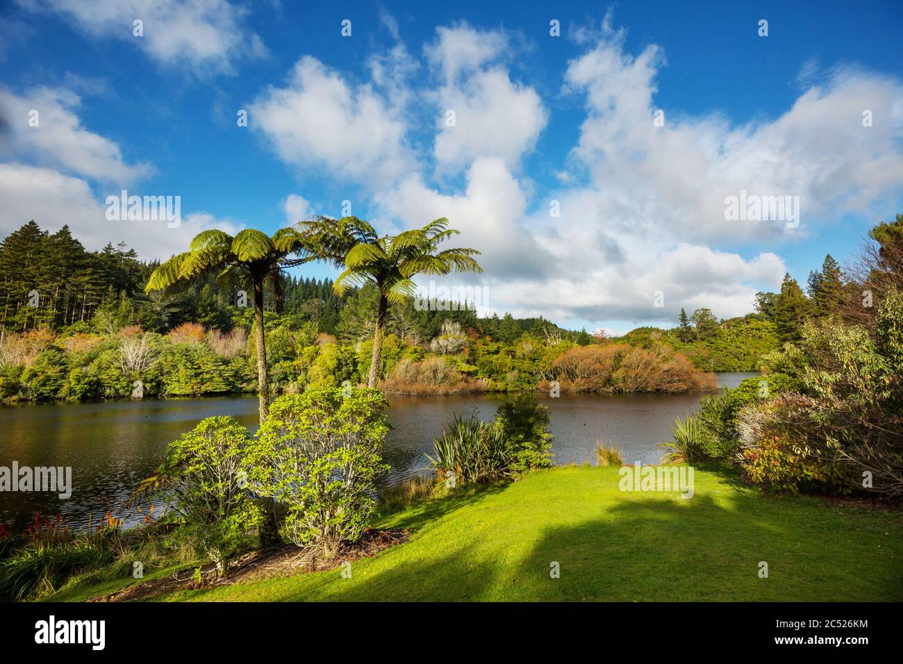 Lago di Mangamahoe , Taranaki regione, Isola del Nord, Nuova Zelanda Foto Stock