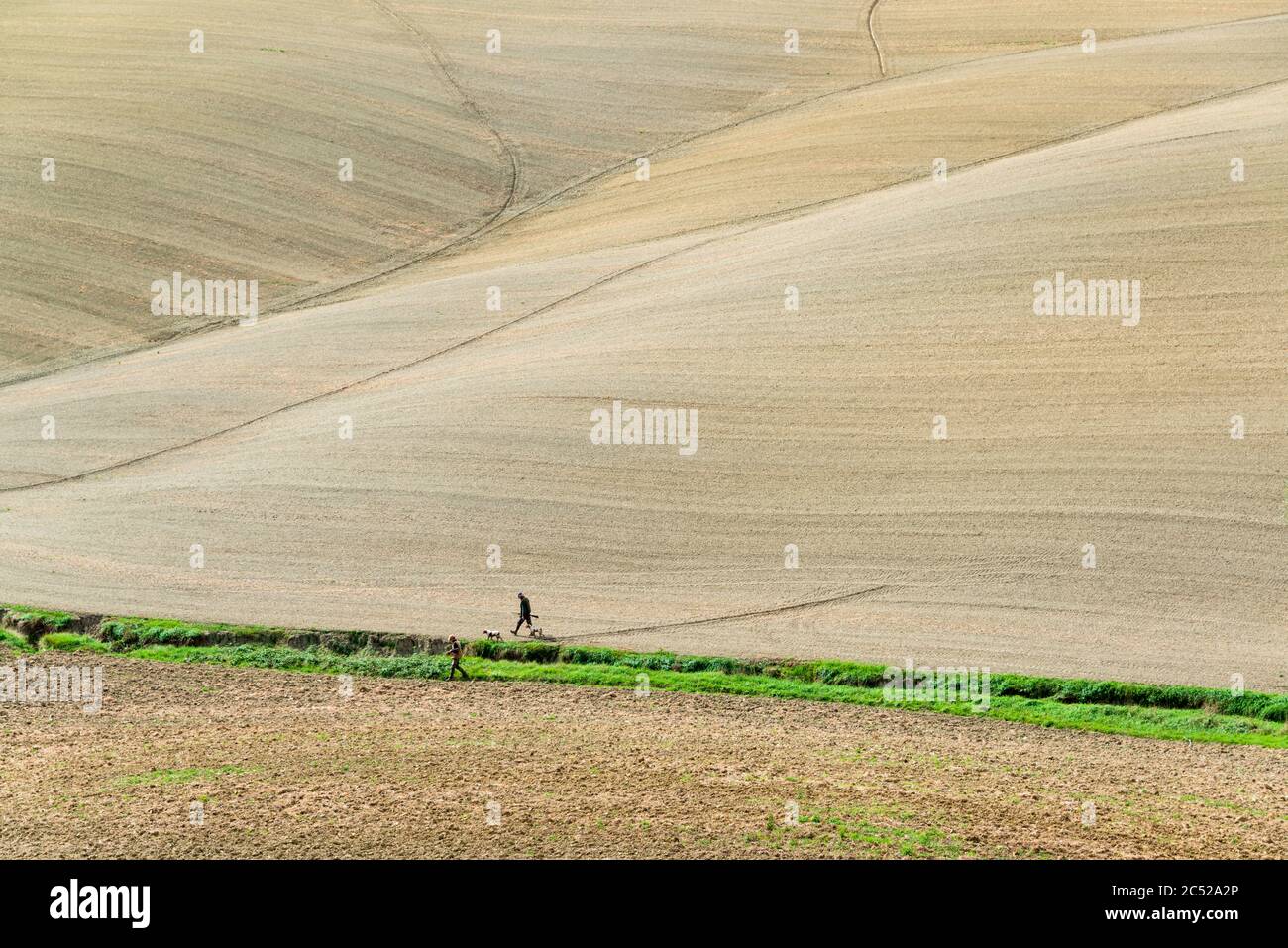 Die Crete Senesi südlich von Siena im Herbst. Nach der Ernte kommt der erdige Charakter der Landschaft durch die verschiedenen Farben des Ackerbodens Foto Stock