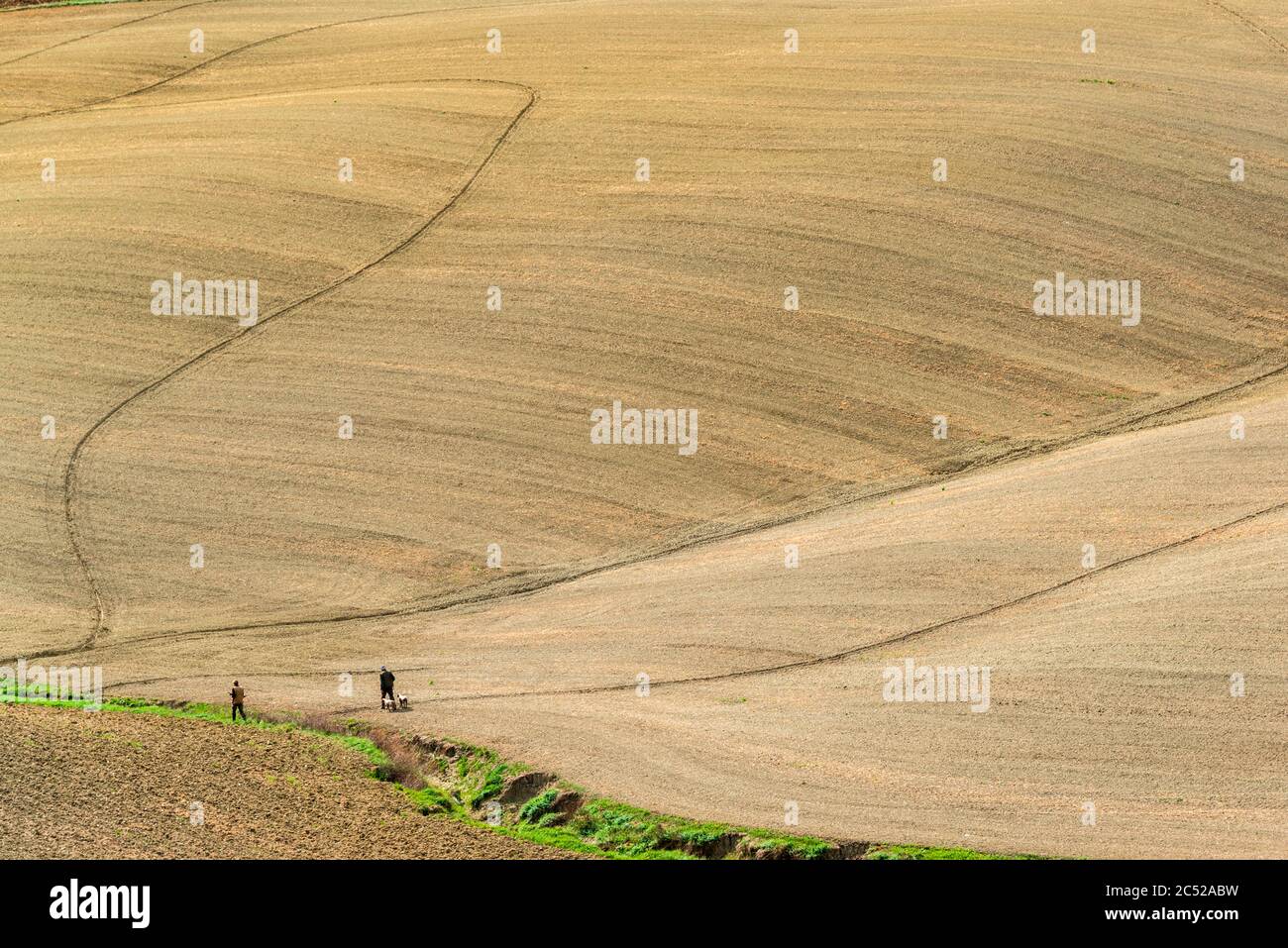 Die Crete Senesi südlich von Siena im Herbst. Nach der Ernte kommt der erdige Charakter der Landschaft durch die verschiedenen Farben des Ackerbodens Foto Stock