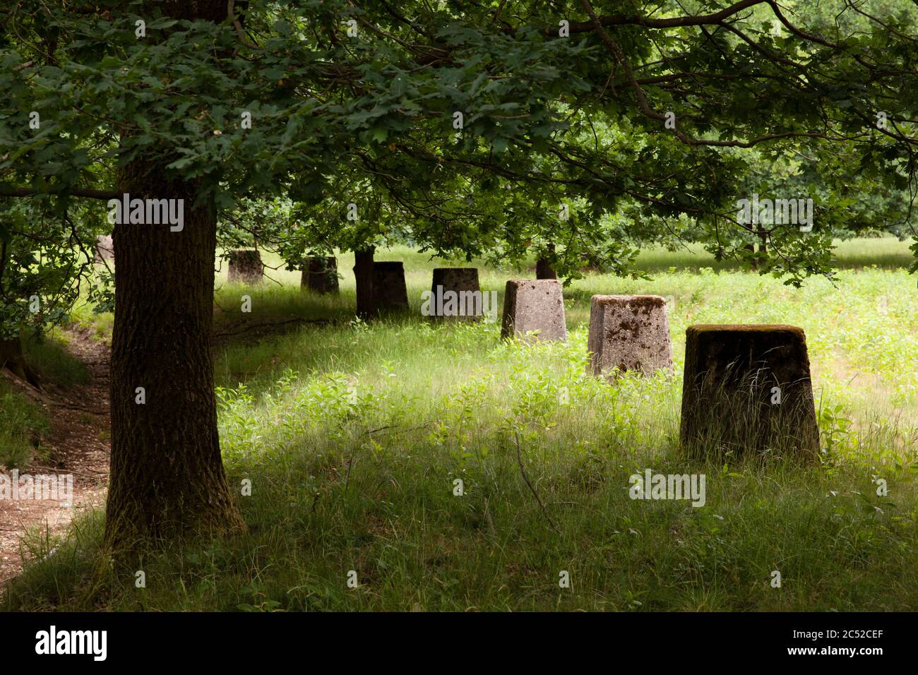 Barriera anticarro nella brughiera di Wahner, Troisdorf-Altenrath, Renania settentrionale-Vestfalia, Germania. Panzersperren in der Wahner Heide, Troisdorf-Altenrath, Foto Stock