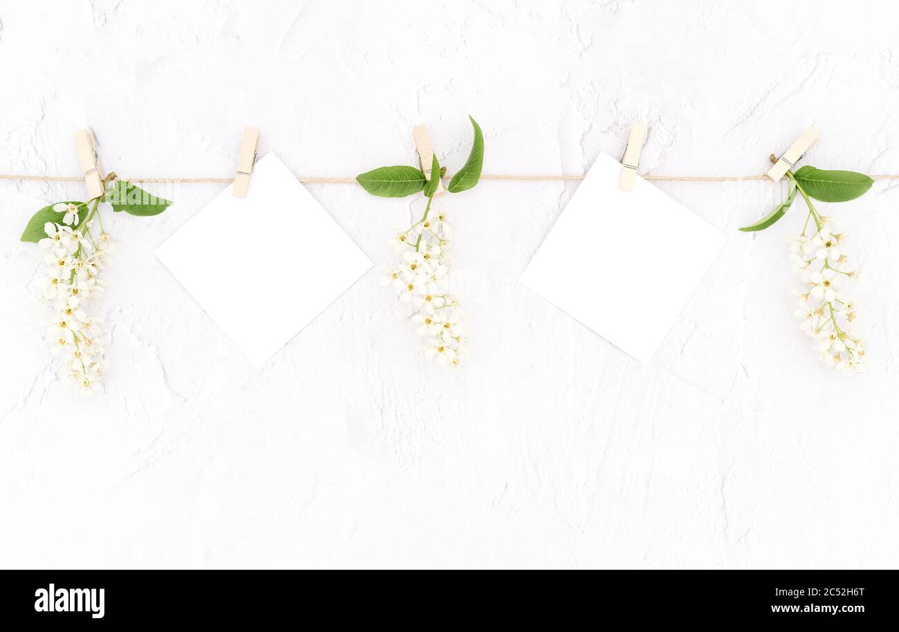 Carte mockup di fiori e carta bianche appese su una corda con abiti in legno su sfondo bianco testurizzato. Sfondo retrò. Spazio di copia. Stile di posa piatto. Foto Stock