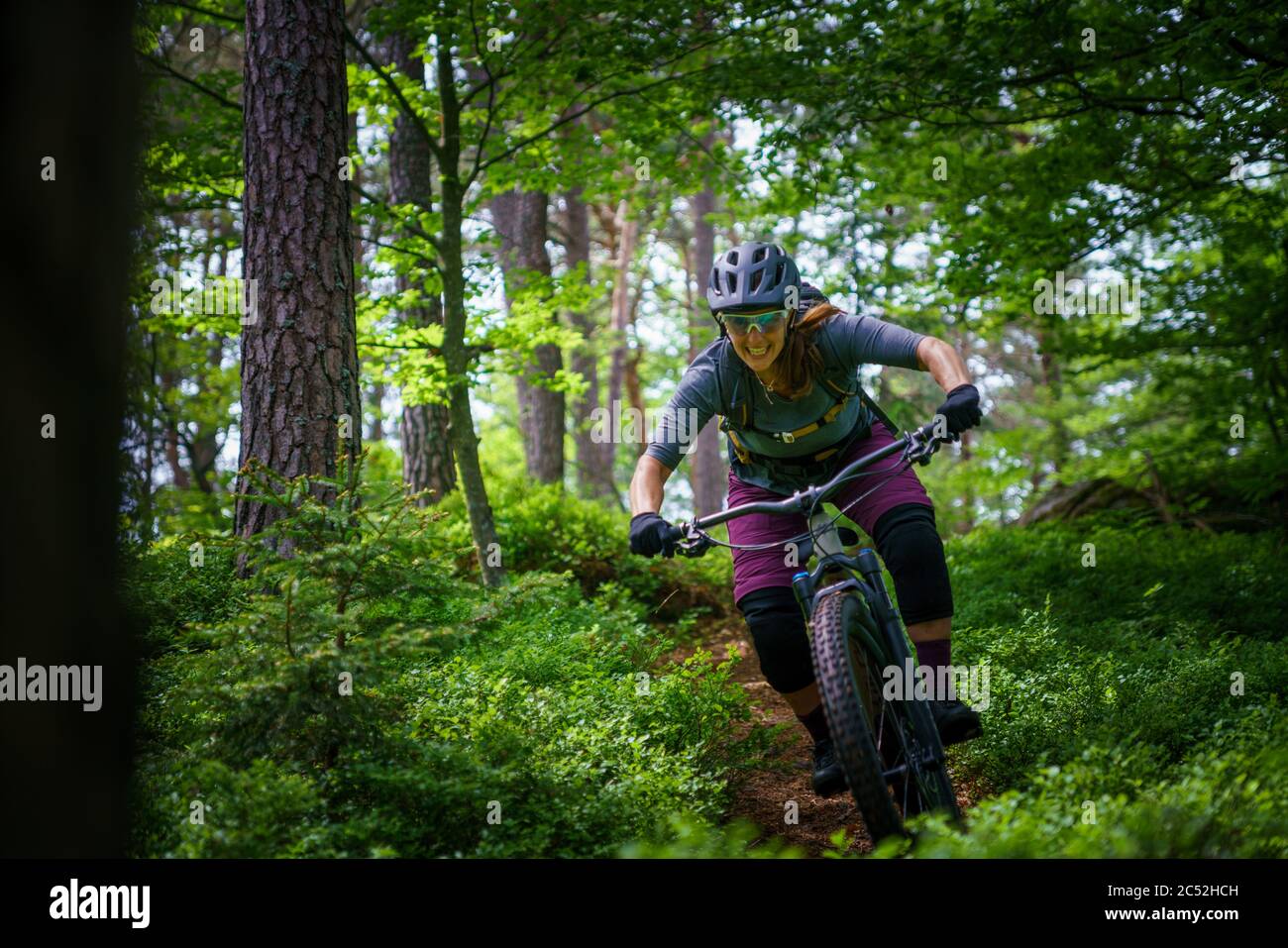 Donna mountain bike attraverso la foresta, Klagenfurt, Carinzia, Austria Foto Stock