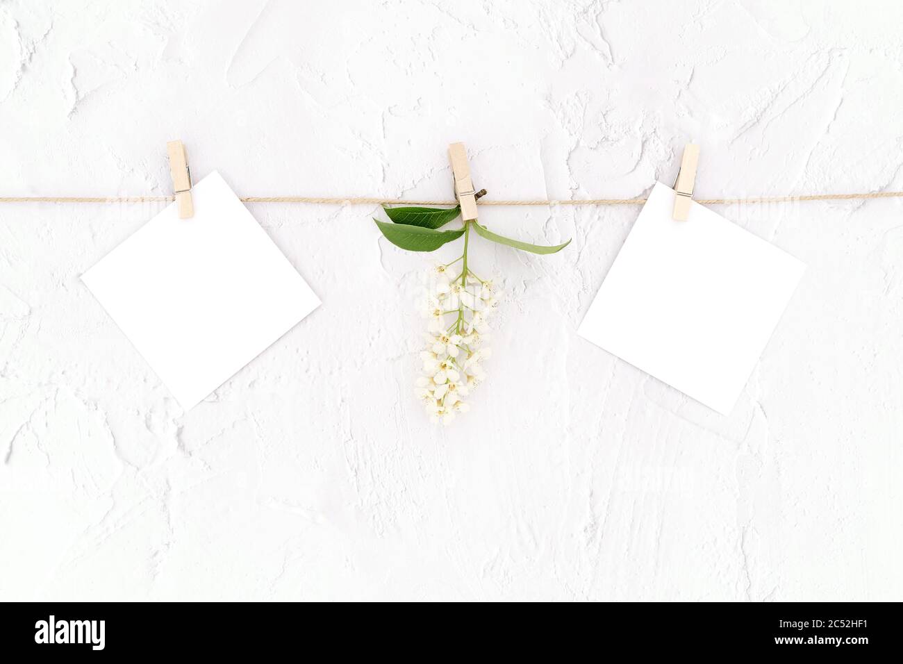 Carte mockup di fiori e carta bianche appese su una corda con abiti in legno su sfondo bianco testurizzato. Sfondo retrò. Spazio di copia. Stile di posa piatto. Foto Stock